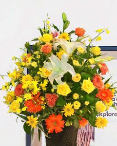 arrange22