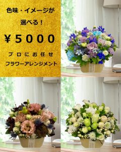 arrange13