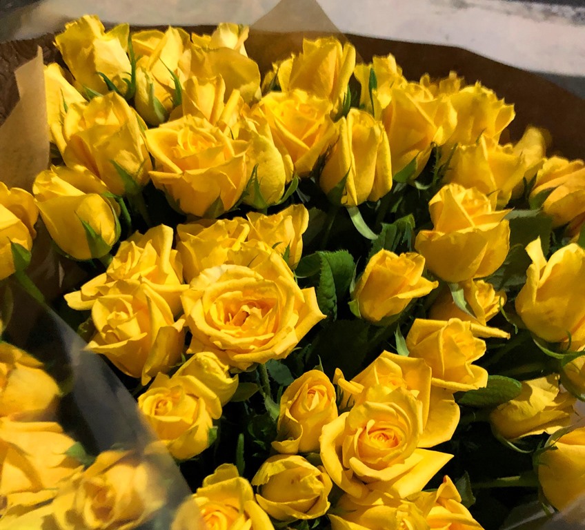 横浜市関内へ黄色バラの花束を即日当日配達しました!【横浜花屋の花束・スタンド花・胡蝶蘭・バルーン・アレンジメント配達事例471】