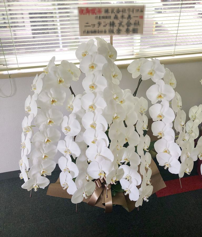 横浜市本牧間門へ5本立て胡蝶蘭を配達しました。【横浜花屋の花束・スタンド花・胡蝶蘭・バルーン・アレンジメント配達事例689】